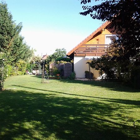 Dossenheim-Kochersberg Les 3 Cles Bed & Breakfast エクステリア 写真