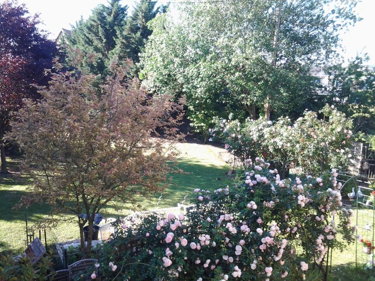 Dossenheim-Kochersberg Les 3 Cles Bed & Breakfast エクステリア 写真